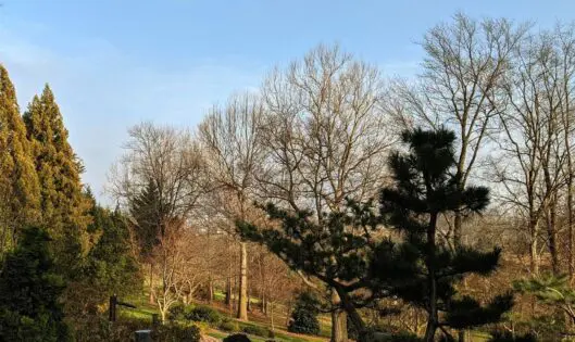 December is Here…._thumbnail