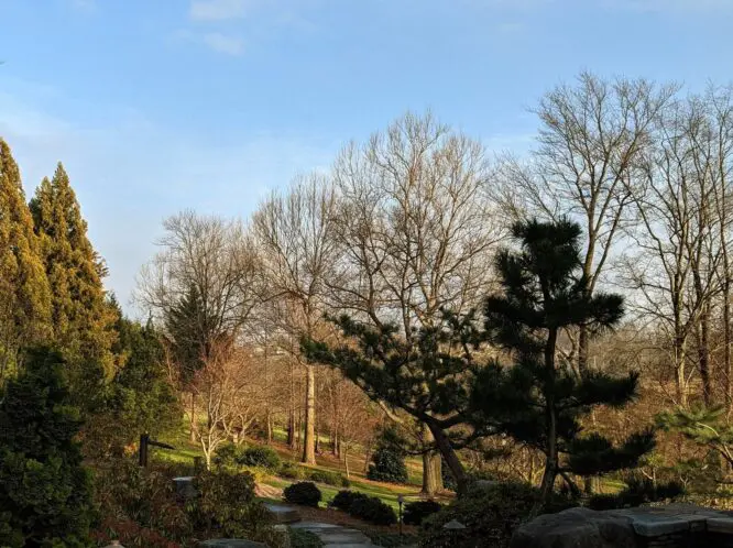 December is Here…._featured_image