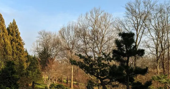 December Is Here.... 574070892 1575769040045470 4424782971178640785 N