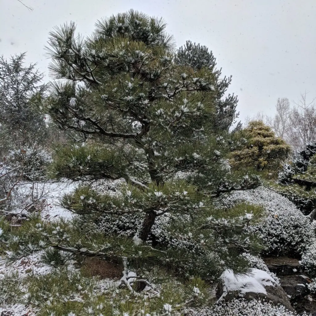 Living Art: Sculptures In The Making 574081117 1575818816707159 2941797653000521035 N