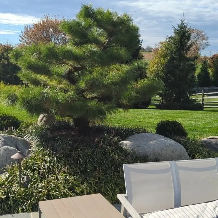 Gifts Of Green 1 Gifts Of Green 574478465 1576694879952886 8205122251848800506 N