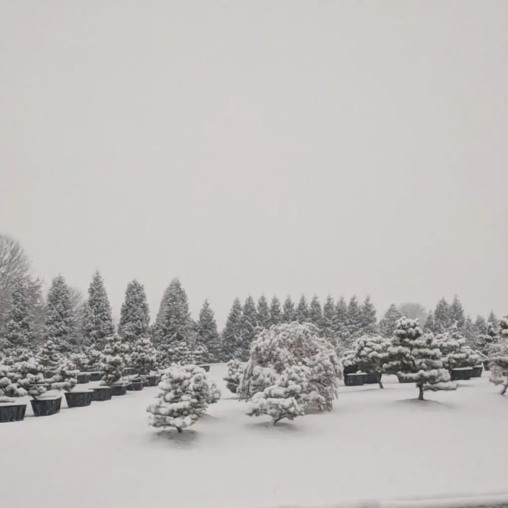 Living Art: Sculptures In The Making 576280168 1575818446707196 3286130331470136155 N