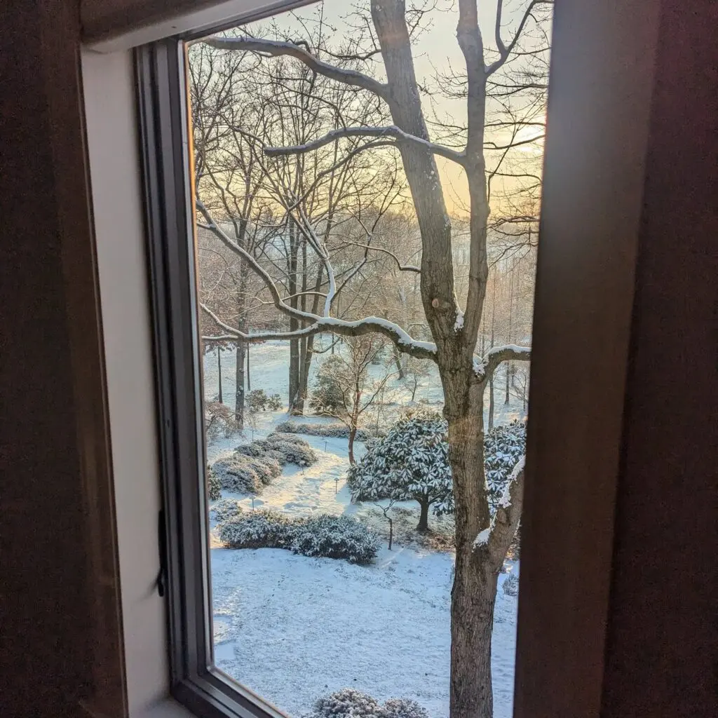 Inside Out Garden Views 575105629 1576847549937619 5928347989162477835 N