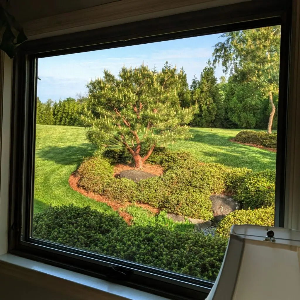 Inside Out Garden Views 575106034 1576854996603541 8072542239333828289 N