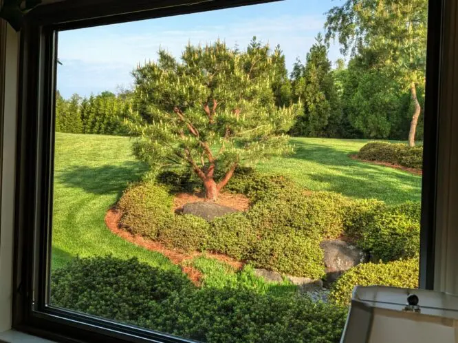 Inside Out Garden Views_featured_image