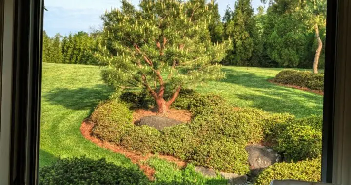 Inside Out Garden Views 575106034 1576854996603541 8072542239333828289 N