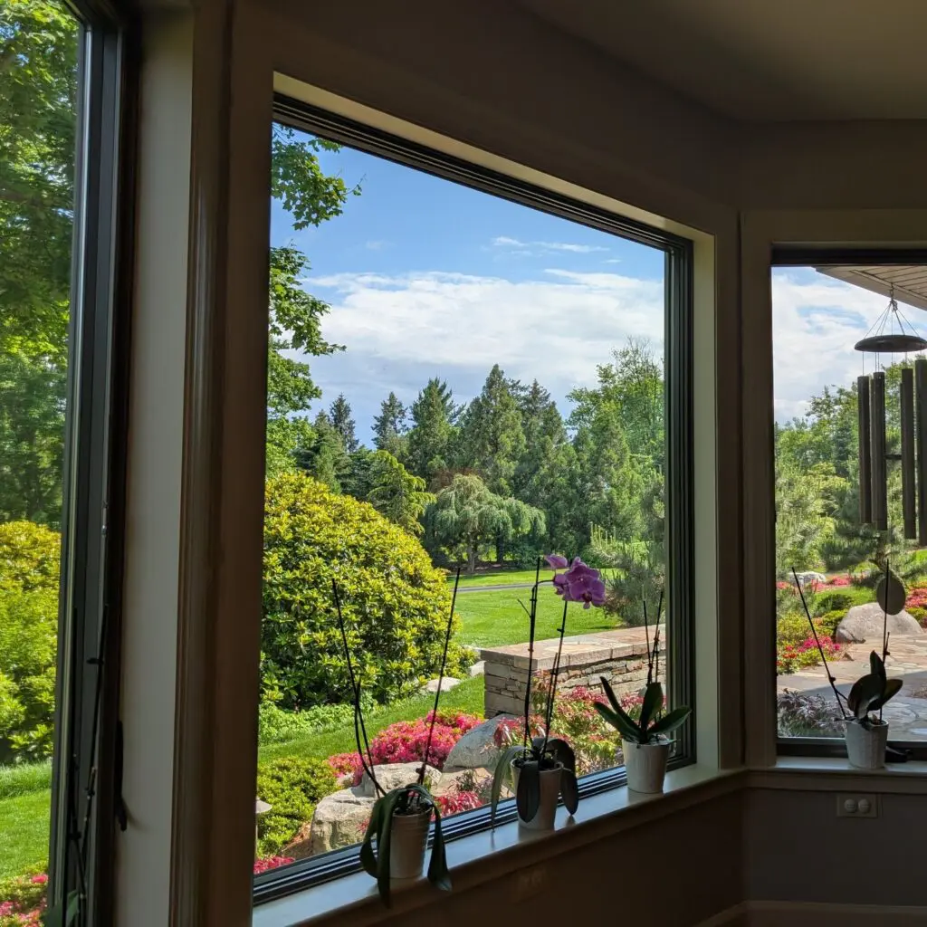 Inside Out Garden Views 575903327 1576847206604320 1333366886879394209 N