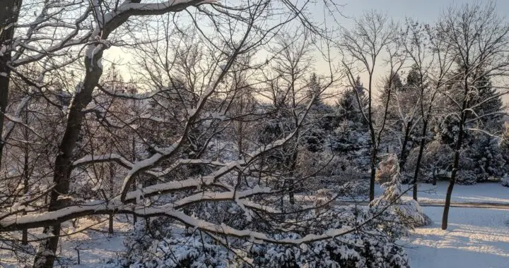 The First Day Of Winter 576440535 1575949290027445 7242793608875171517 N