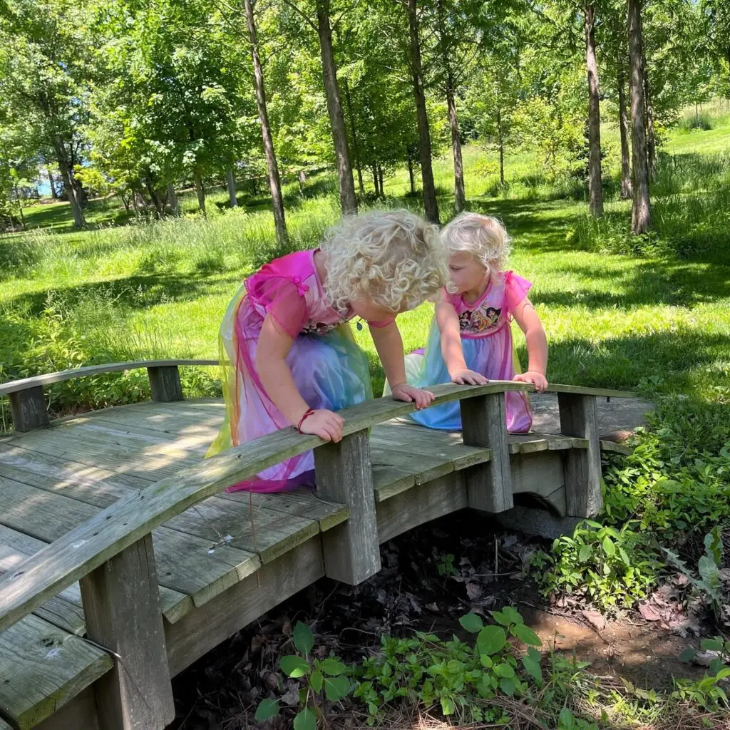 New Years Resolution: Play Outside More 595018984 1604363210519386 4218772158693930729 N