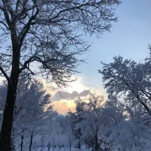 January Morn 595153354 1604376517184722 5527243425257373556 N