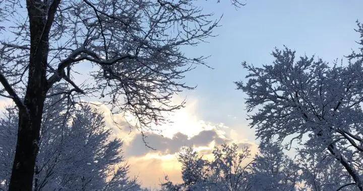 January Morn 595153354 1604376517184722 5527243425257373556 N