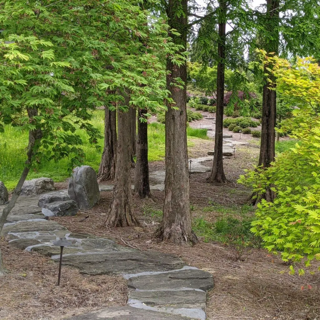 Want To Live Longer? Build A Garden! 596309135 1604199623869078 247574297838646239 N