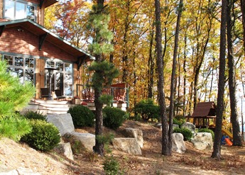 Home