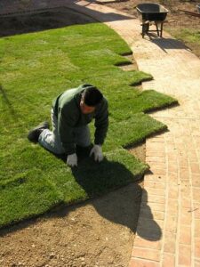 Sod Installation 1