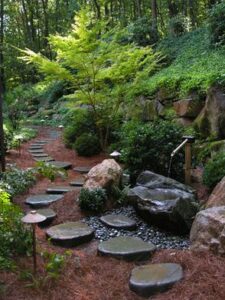 Woodland Path - Stepping Stones 2