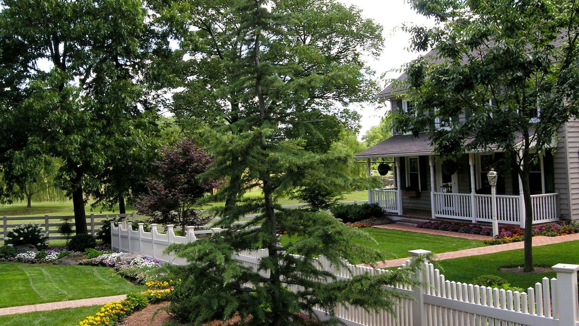 Trees, Plant Beds, And Lawn Outside Of The Headquarters Of Brittany'S Hope, Meticulously Maintained By Hanselman Landscape And Gardens