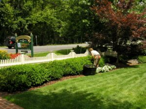 Brittany'S Hope Garden Care