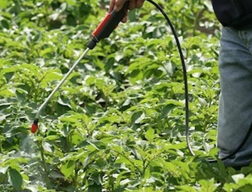 Hanselman Landscape And Gardens Fertilization