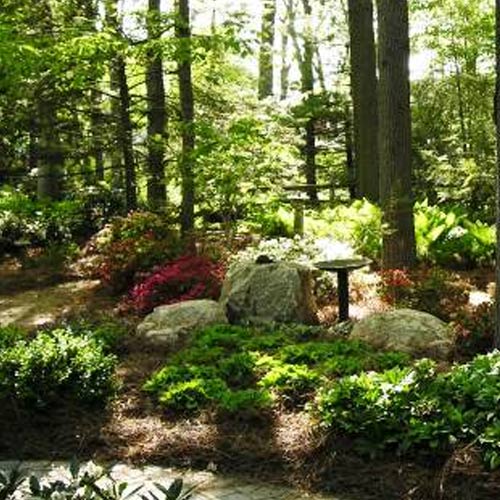 Shade Gardens - Garden Landscapers - Hire Hanselman