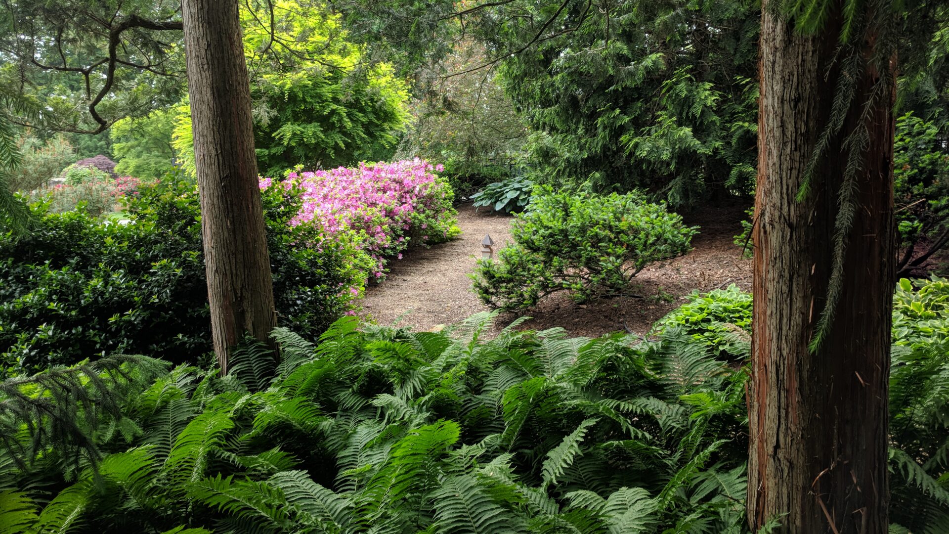 Hanselman Landscape Woodland Path Elizabethtown1