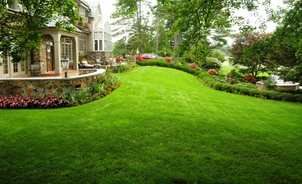 Seeded Lawn, Elizabethtown, Pa