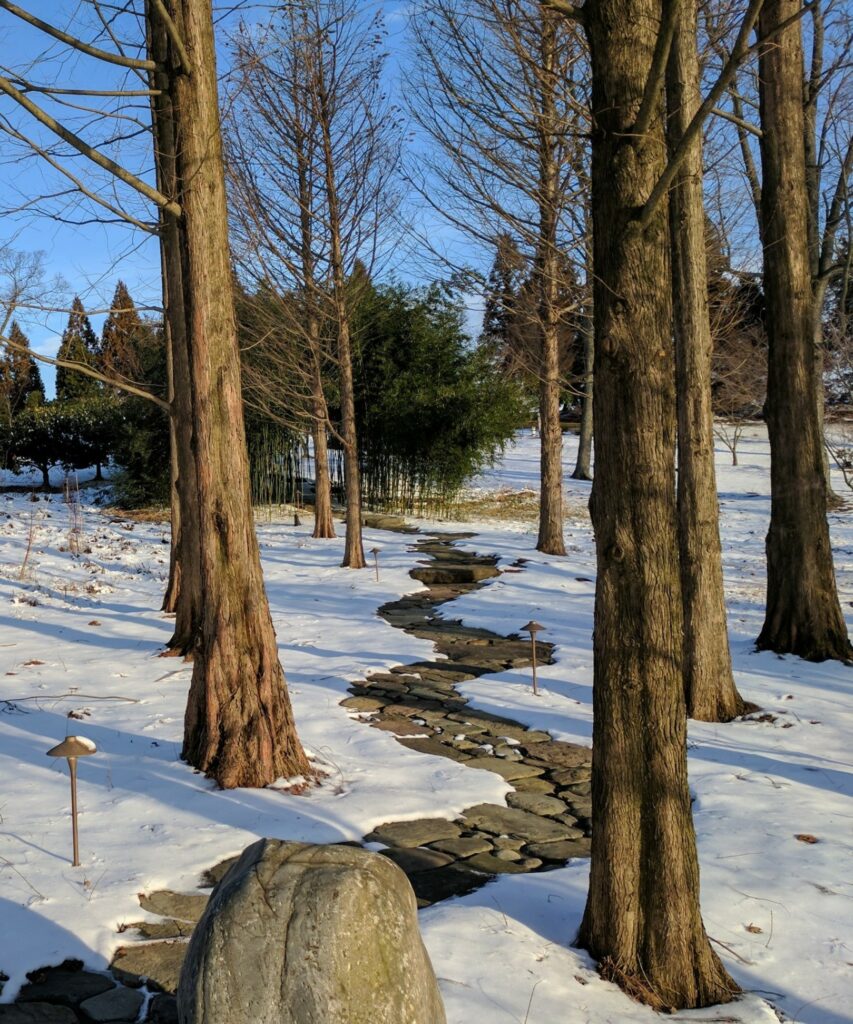 Rustic Natural Stone Path Meanders Through Winter Woodland, Manheim, Pa