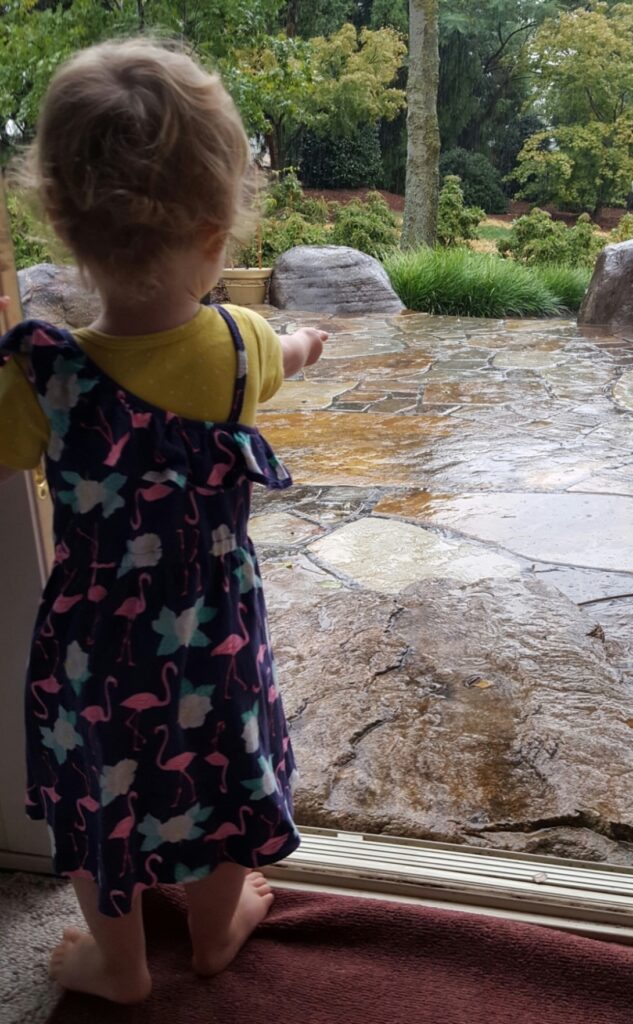 A Child Looking Out At A Stone Backyard Patio Glistening In The Rain In Manheim, Pa