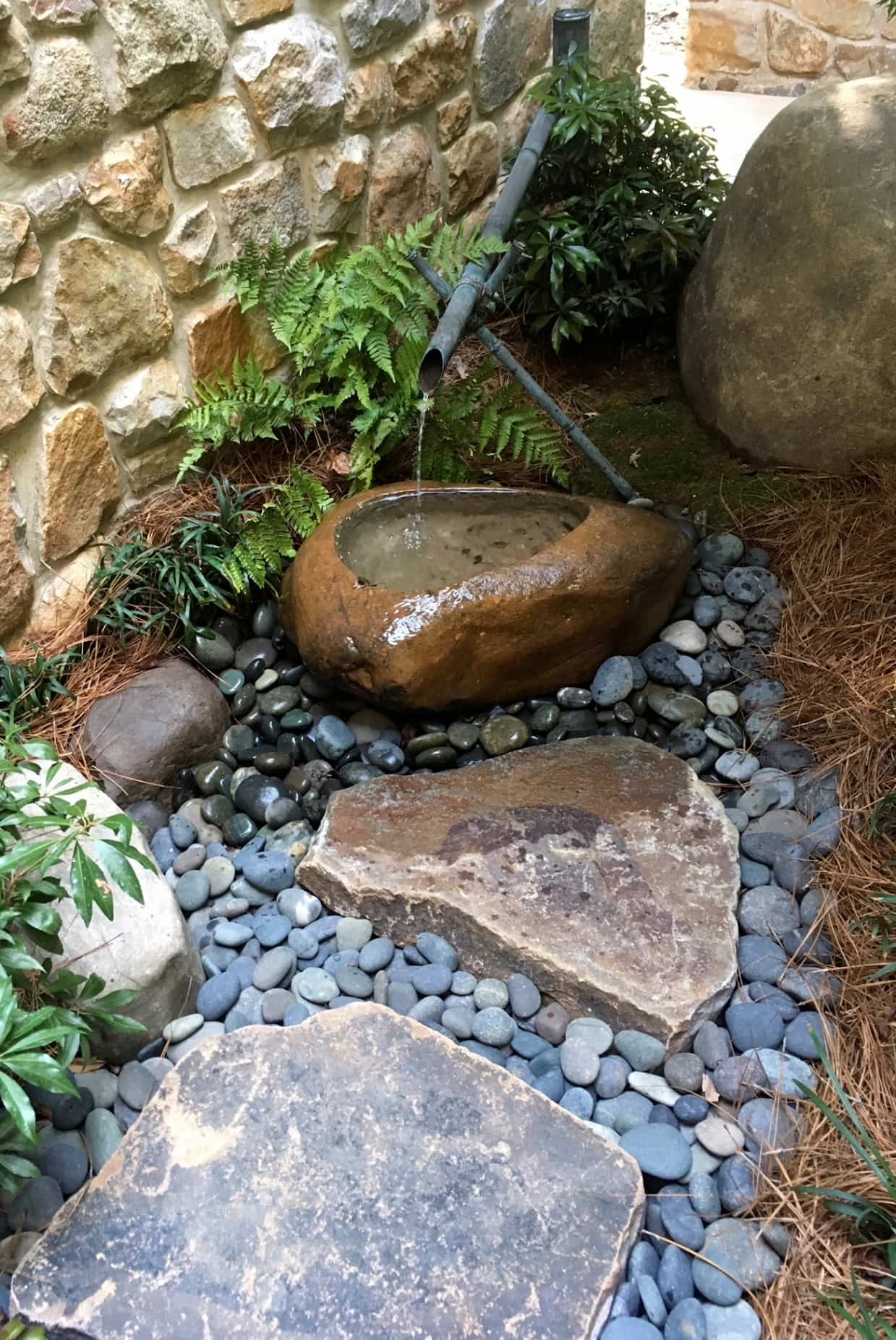 Japanese-Inspired Tsukubai Peeks Through Ferns In Small Entrance Garden, Palmyra, Pa