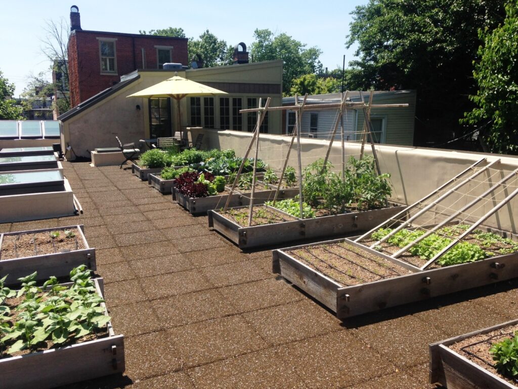 Drip Irrigation Helps Plants Thrive In All Types Of Containers, Providing Just The Right Amount Of Water Slowly Without Waste, Harrisburg, Pa