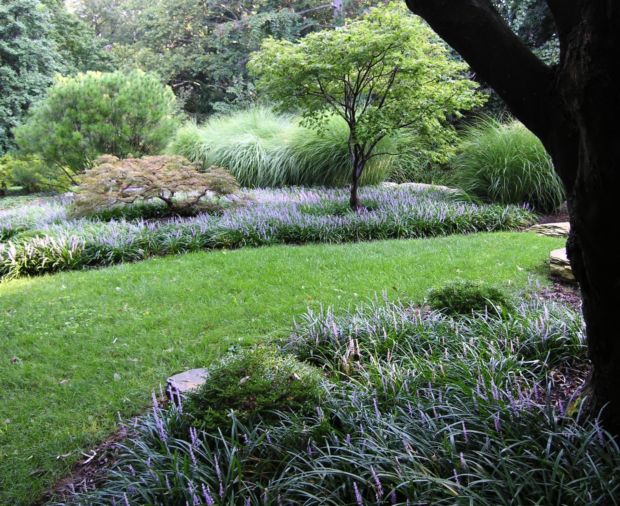 Fall-Flowering Groundcovers, Villanova, Pa