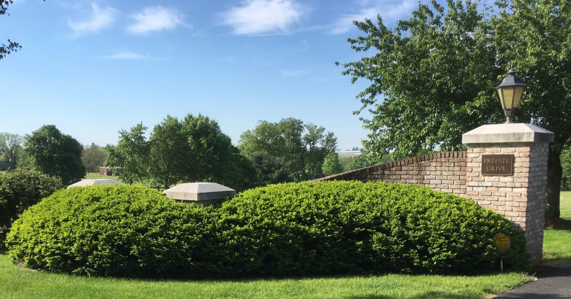 Skilled Pruning Restores Beauty Of Old Yew Hedges, Manheim, Pa