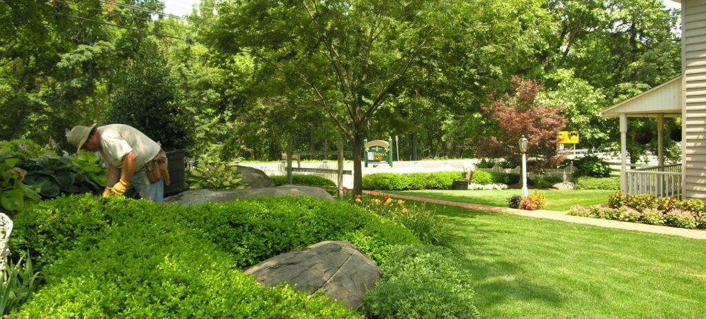 Okarikomi Is A Japanese Technique For Shaping Drifts Of Shrubs Into Natural Flowing Forms Like Rolling Hills, Elizabethtown, Pa