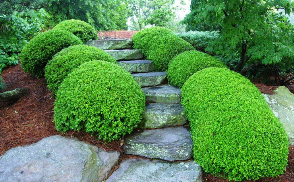 Rustic Stone Slab Staircase, Manheim, Pa