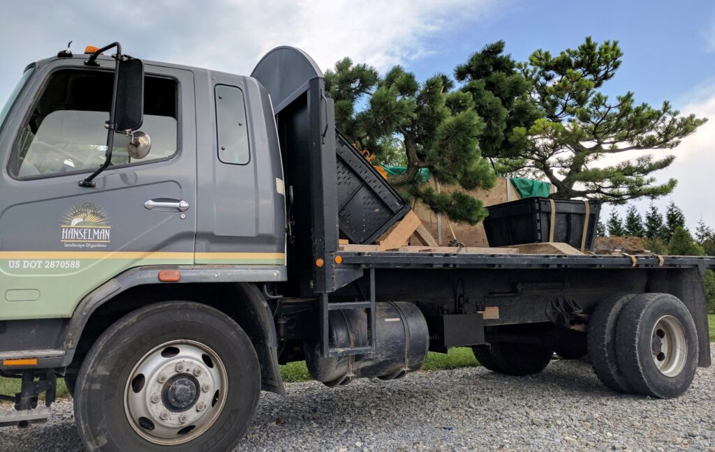 ‘Banshoho’ Dwarf Japanese Black Pines Leaving For A New Home, Manheim, Pa