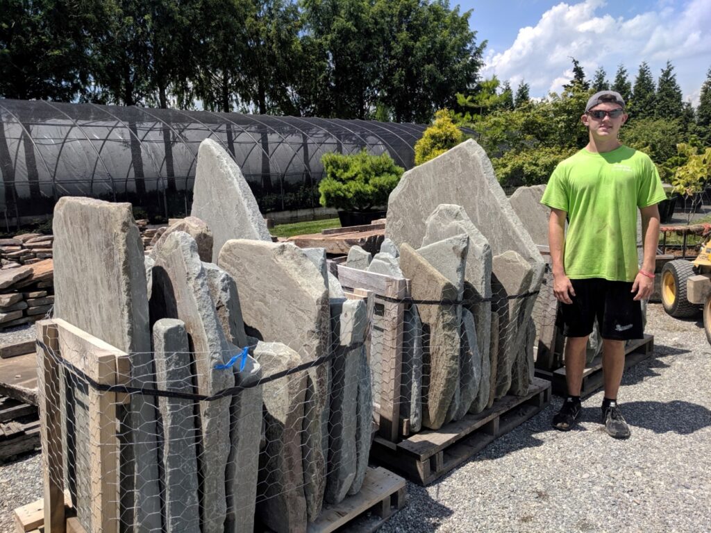 Ready-To-Use Tumbled Bluestone Slabs Will Become Large Steps Across Lawns, Manheim, Pa