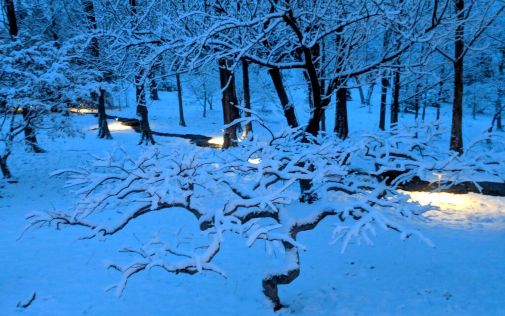 Path Lights Illuminate Woodland Path On Snowy Evening, Manheim, Pa