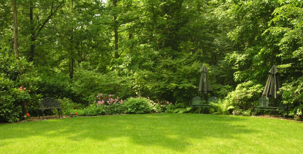 Lawns Can Be Delightful Foils Beside Woodland Shade In Lancaster, Pa Thanks To Hanselman'S Lawn Care Services.