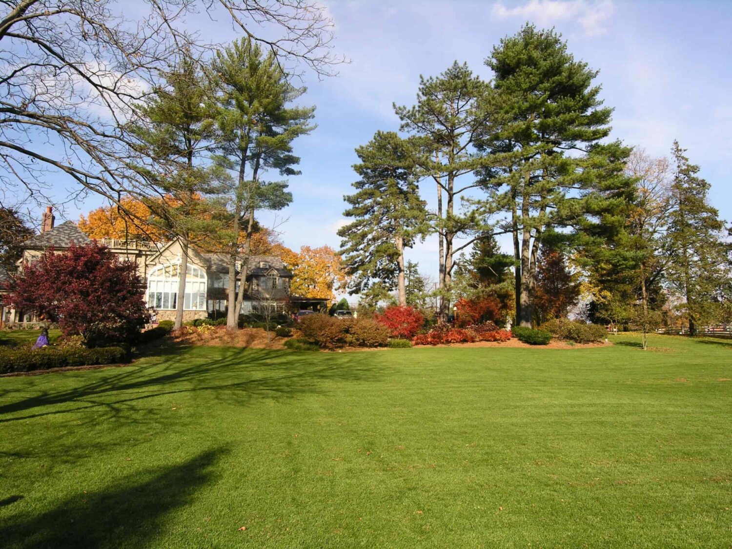 Seeded Lawn, Elizabethtown, Pa