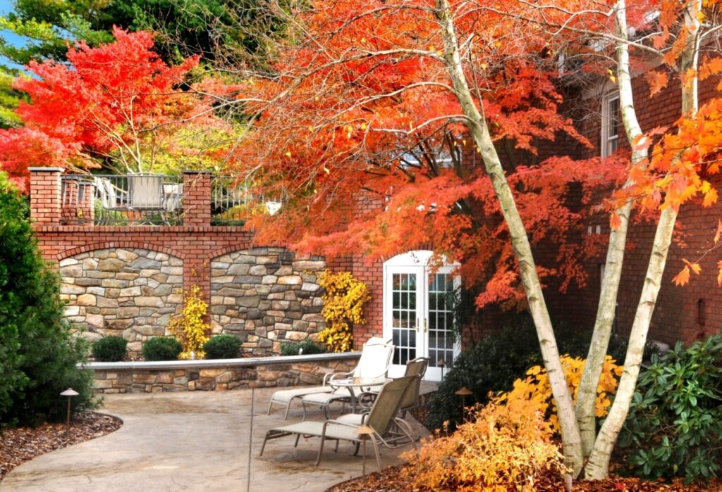 Natural Stone And Brick Terraces Bring Close The Bright Fall Colors Of Ornamental Trees, Lancaster, Pa