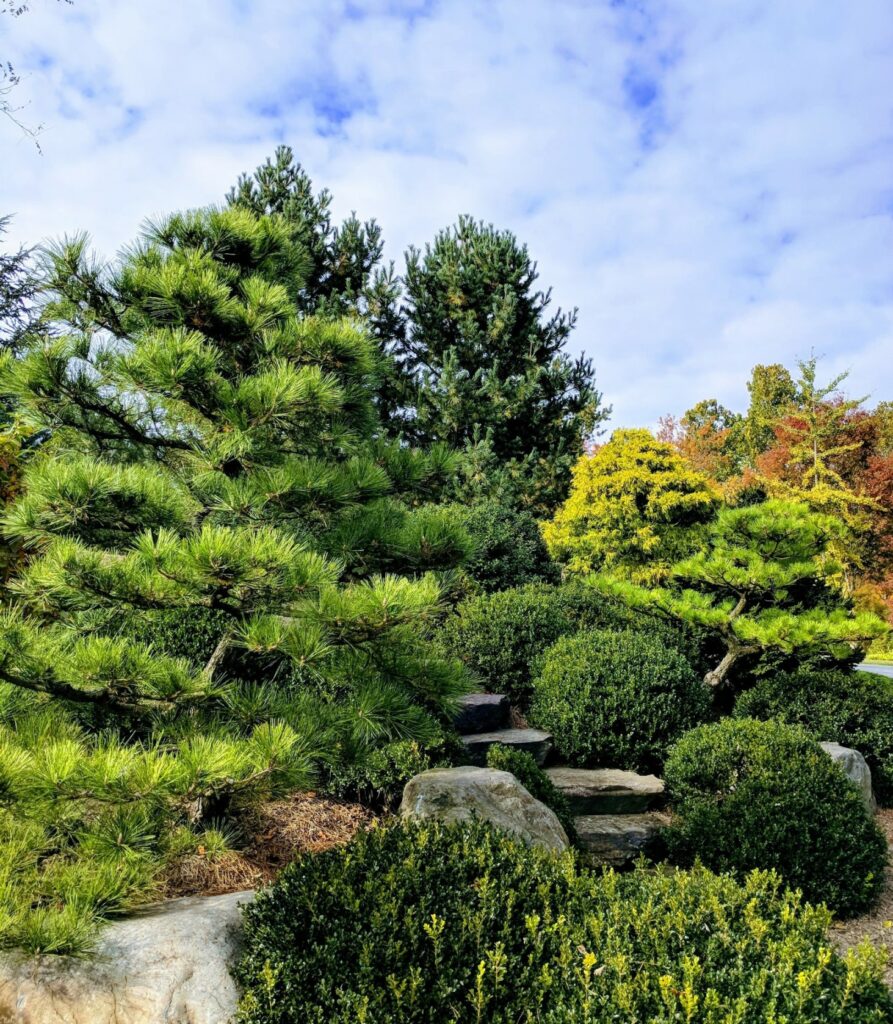 Gallery New 23 Wander The Pathway Steps Into The Garden, Manheim, Pa