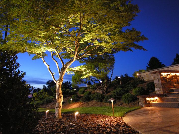 A Stone Patio And A Large Tree Backlit By Backyard Lights