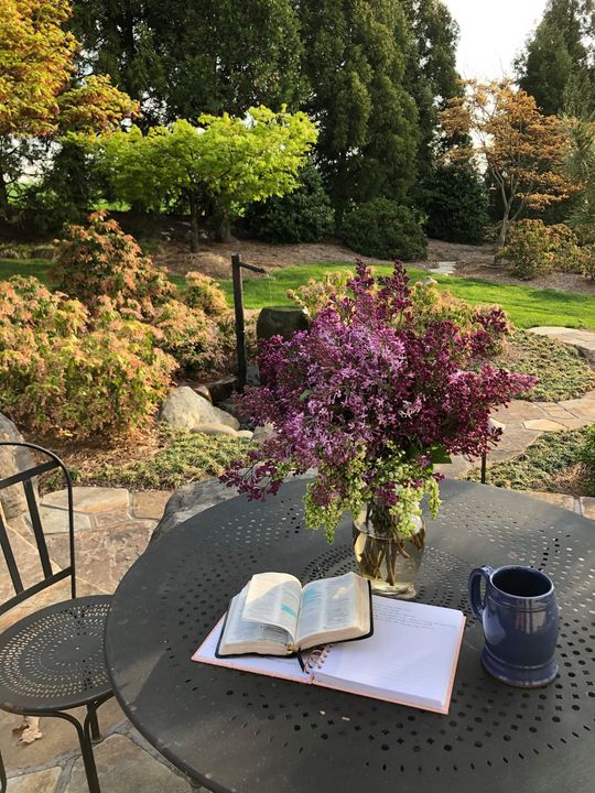 A Peaceful Backyard Garden Patio Surrounded By Trees, Bushes, And A Well Manicured Lawn