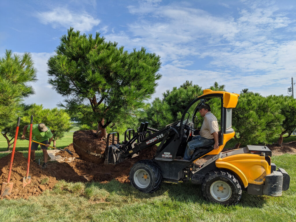 Landscape Design 16 Landscape Design Hanselman Landscape Gardens Build Phase Photo Skid Steer And Tree Web