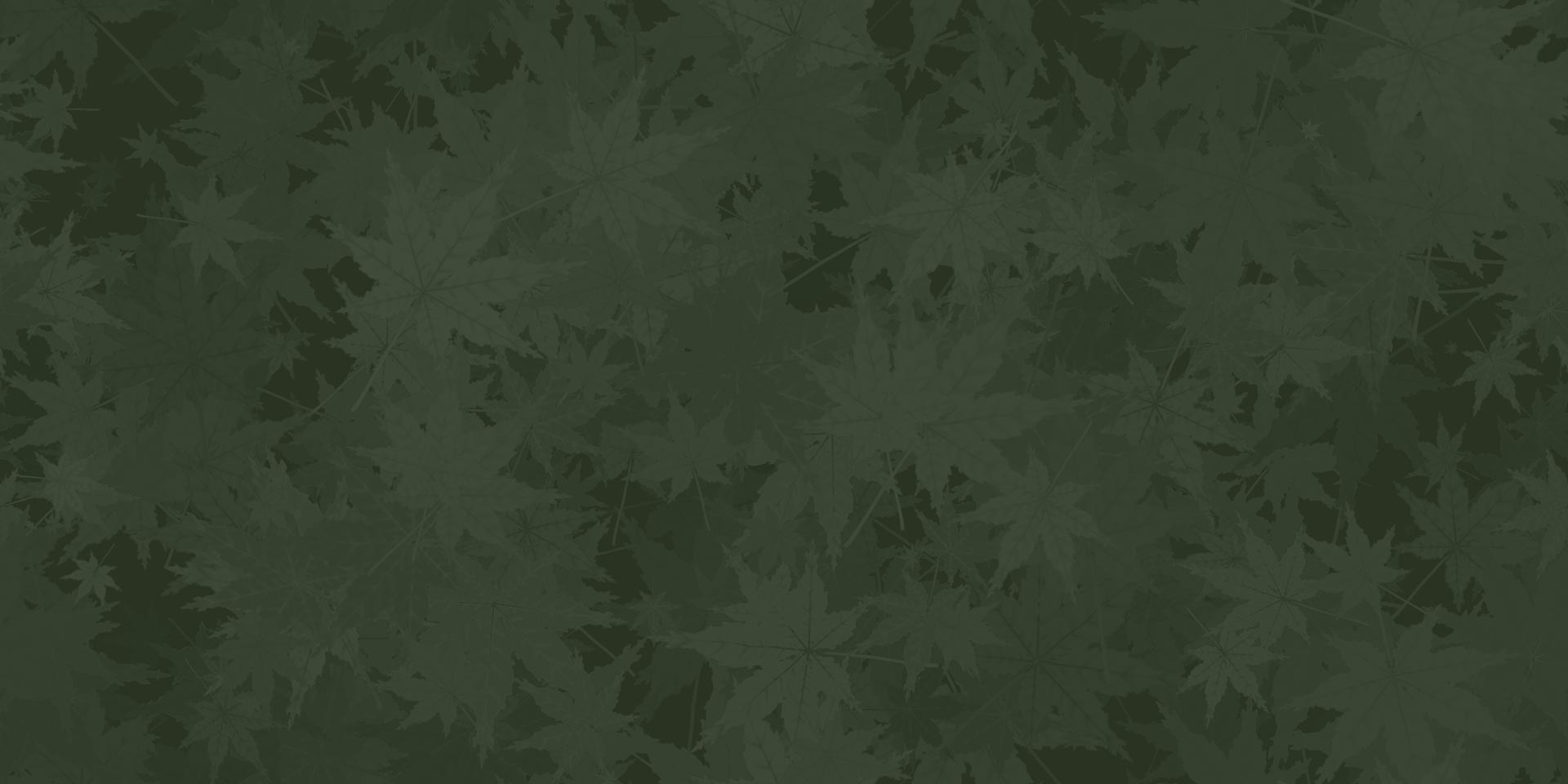 About Us: Hanselman Landscape And Garden'S 12 About Us: Hanselman Landscape And Garden'S Hanselman Garden Journal Background