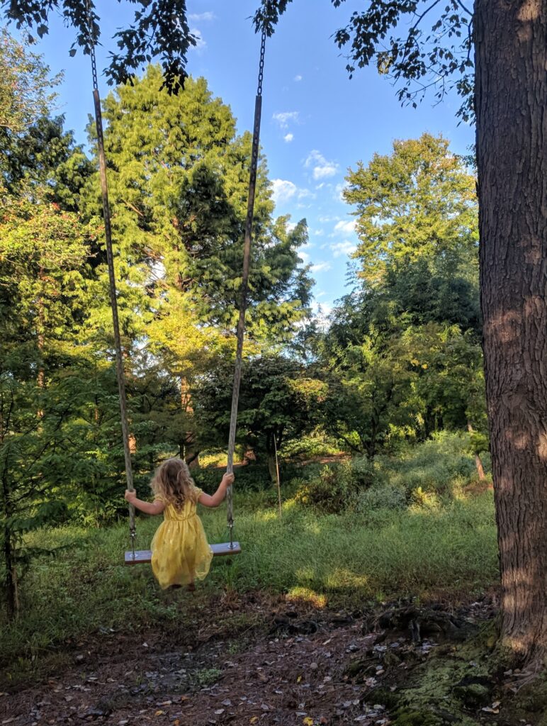 In Summer . . . 2 In Summer . . . Img 20180922 075944 1