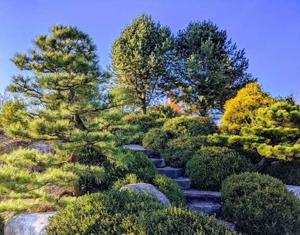 Japanese Garden Design Evergreens And Stone