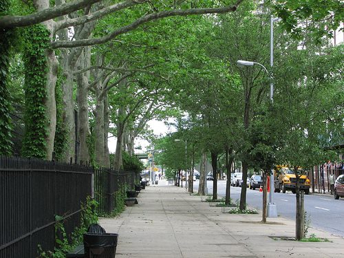 Access To Nature Can Improve Mental Health 1 Access To Nature Can Improve Mental Health 245384582 6568239139860537 7495334889634699470 N