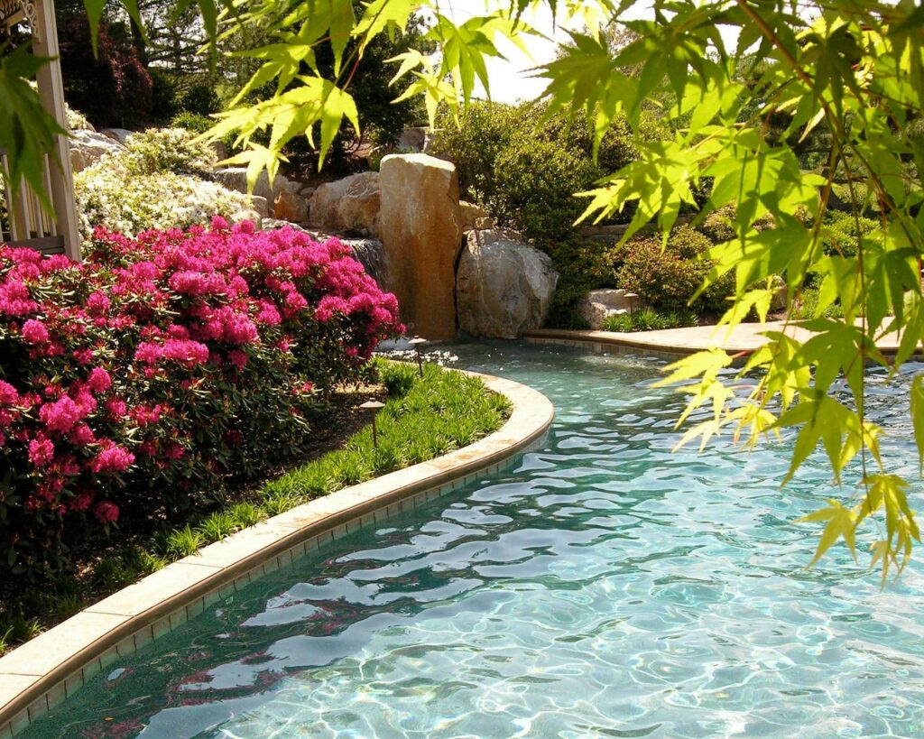 Gardening Begins In January! 3 Gardening Begins In January! 247923400 6719557238062059 3164048669874679899 N