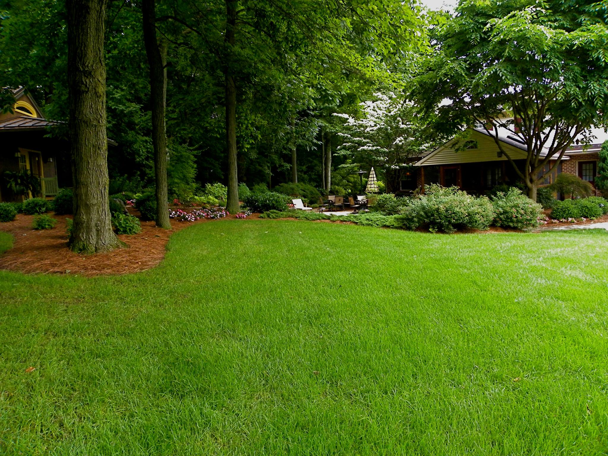 A Well Maintained Lawn Near Lancaster, Pa