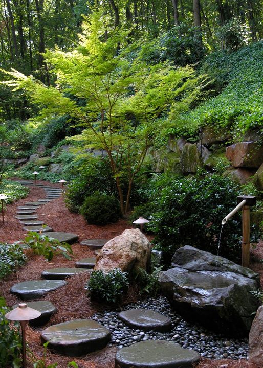 Gardening With A 'Sense Of Place' (Part 1) 1 Gardening With A 'Sense Of Place' (Part 1) 271667349 7065561943461585 5392101475475337750 N